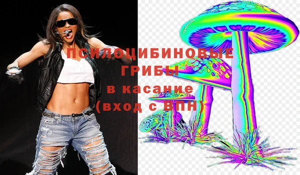 таблы Новозыбков