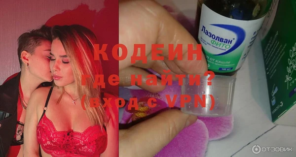мет Няндома