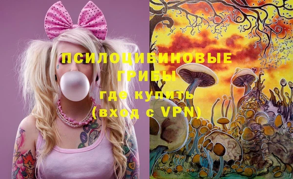 мет Няндома
