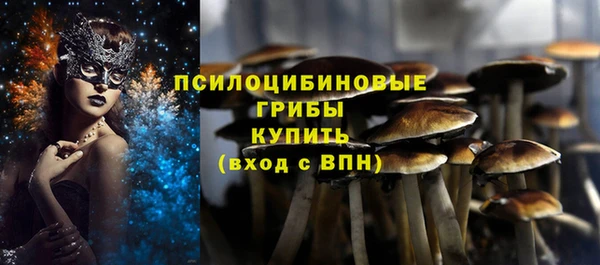 таблы Новозыбков