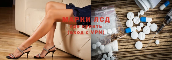 таблы Новозыбков
