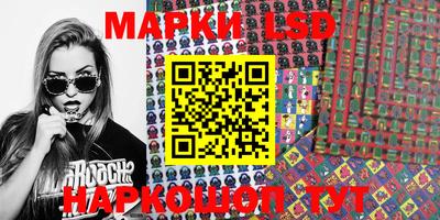 шишки Будённовск