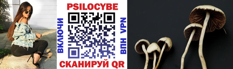 Галлюциногенные грибы Psilocybine cubensis  Шарыпово 