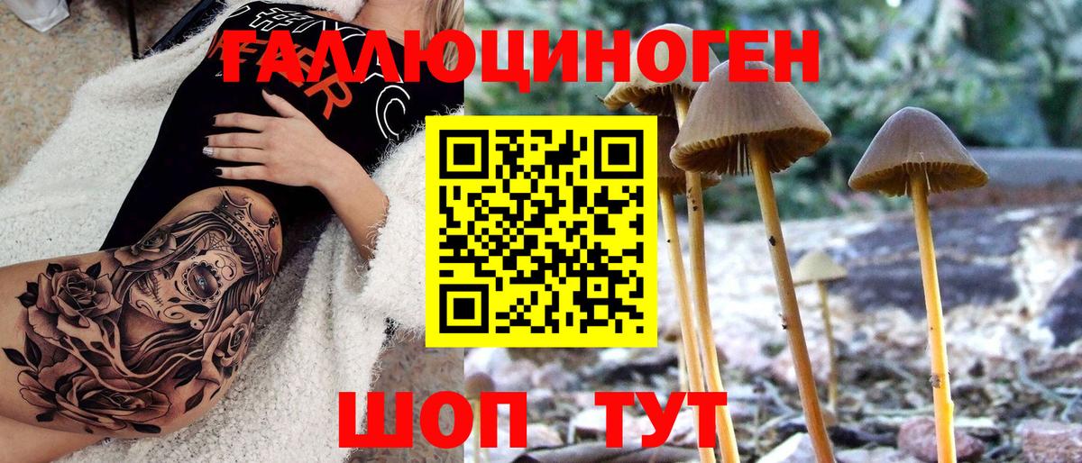 Псилоцибиновые грибы GOLDEN TEACHER  Галлюциногенные грибы Psilocybe  как найти закладки  Вход с VPN  Шарыпово 